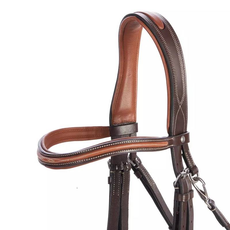 Equipping equipment for 580 ponys with a leather belt and a French-style snout snout