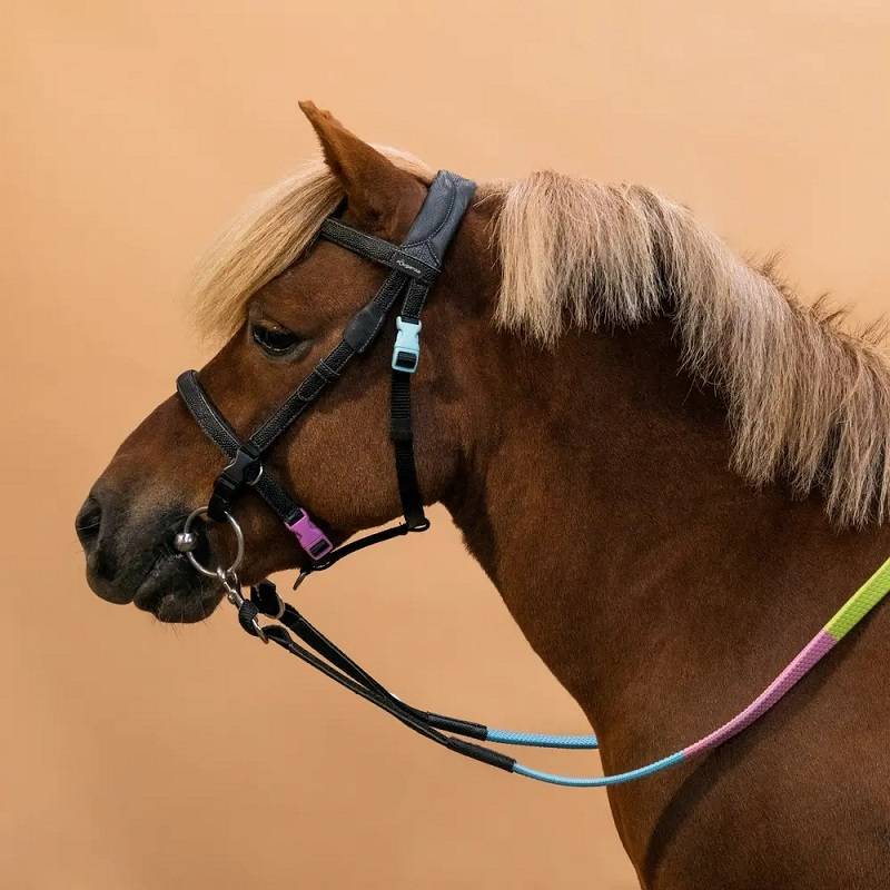 Equipping equipment for 580 ponys with a leather belt and a French-style snout snout