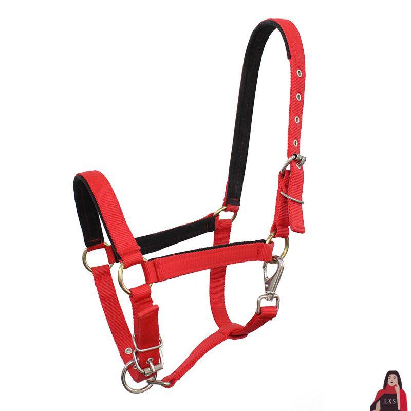 Boutique horsesho -headed rope equestrian equestrian supplies size short horses horses horses horses accessories full sets of racecourse dedicated