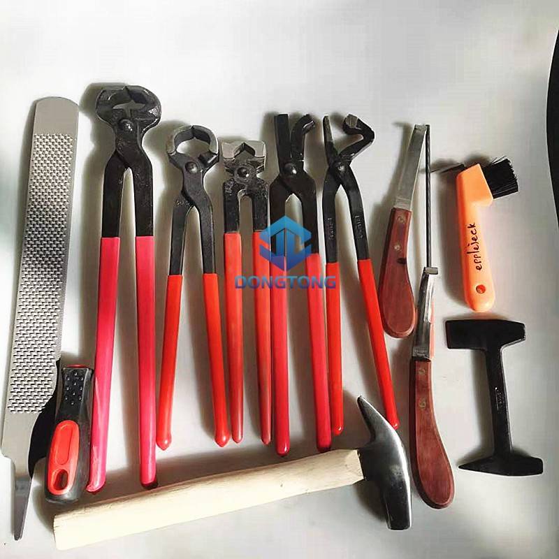Ten sets of nails (large)