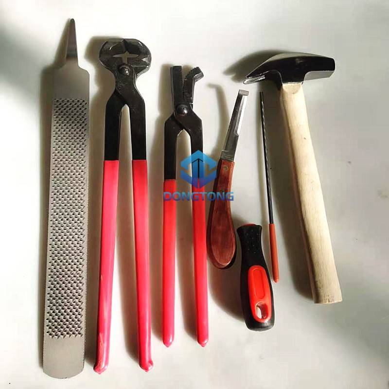 5 sets of nails (large)