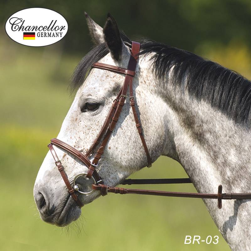 German leather psorians, Lairen -style saddle accessories, horse cage, reinsch -style saddle accessories, racematic elements
