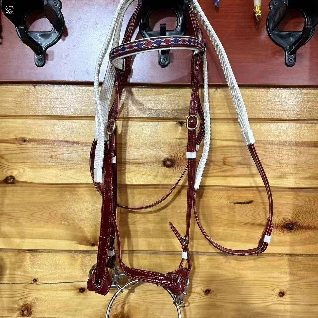 The horse's saddles and the horse's accelerators can be modulated with paint-coated ropes