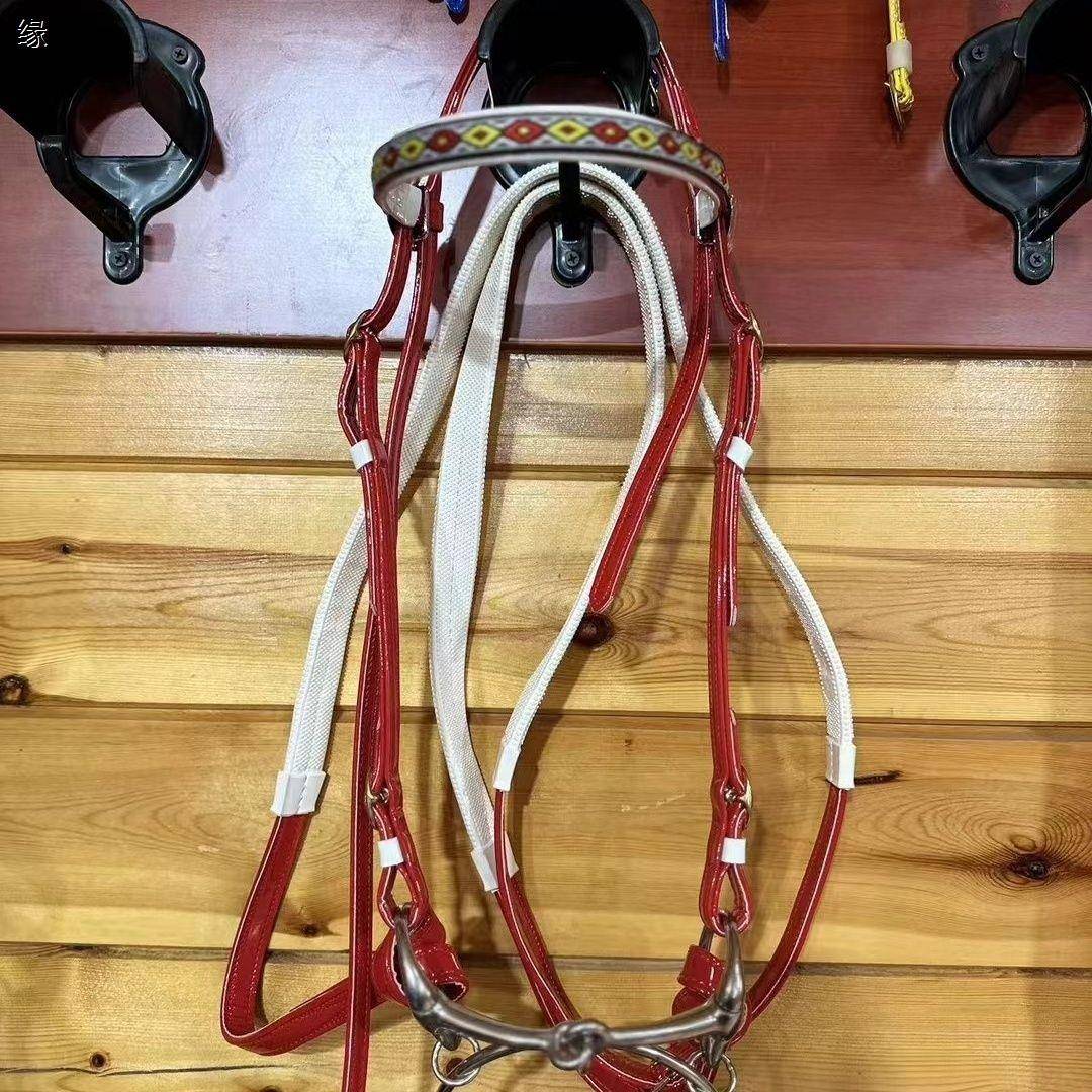The horse's saddles and the horse's accelerators can be modulated with paint-coated ropes