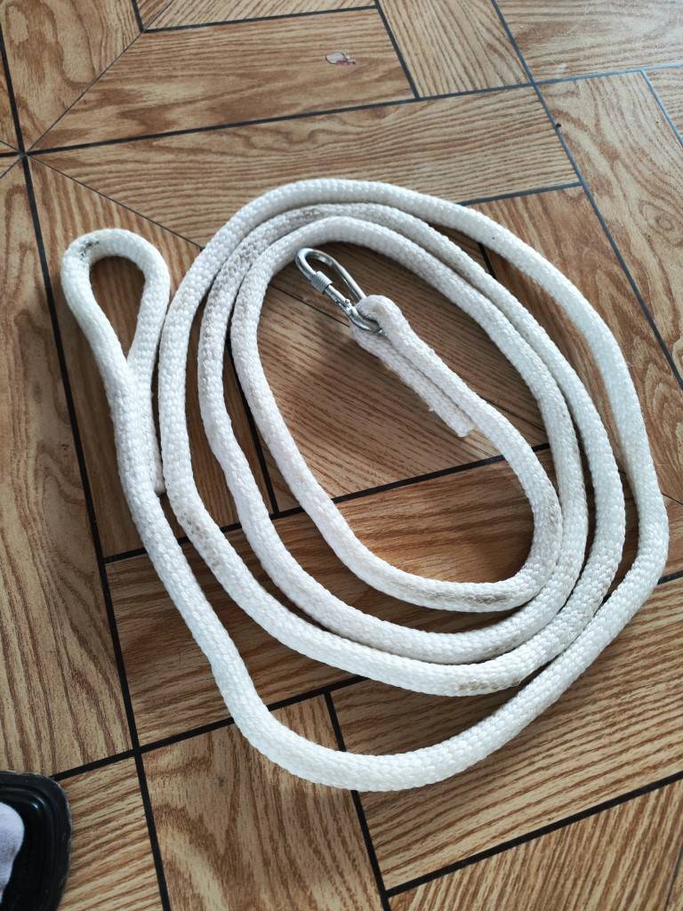 I'm going to take a horse rope to the ring