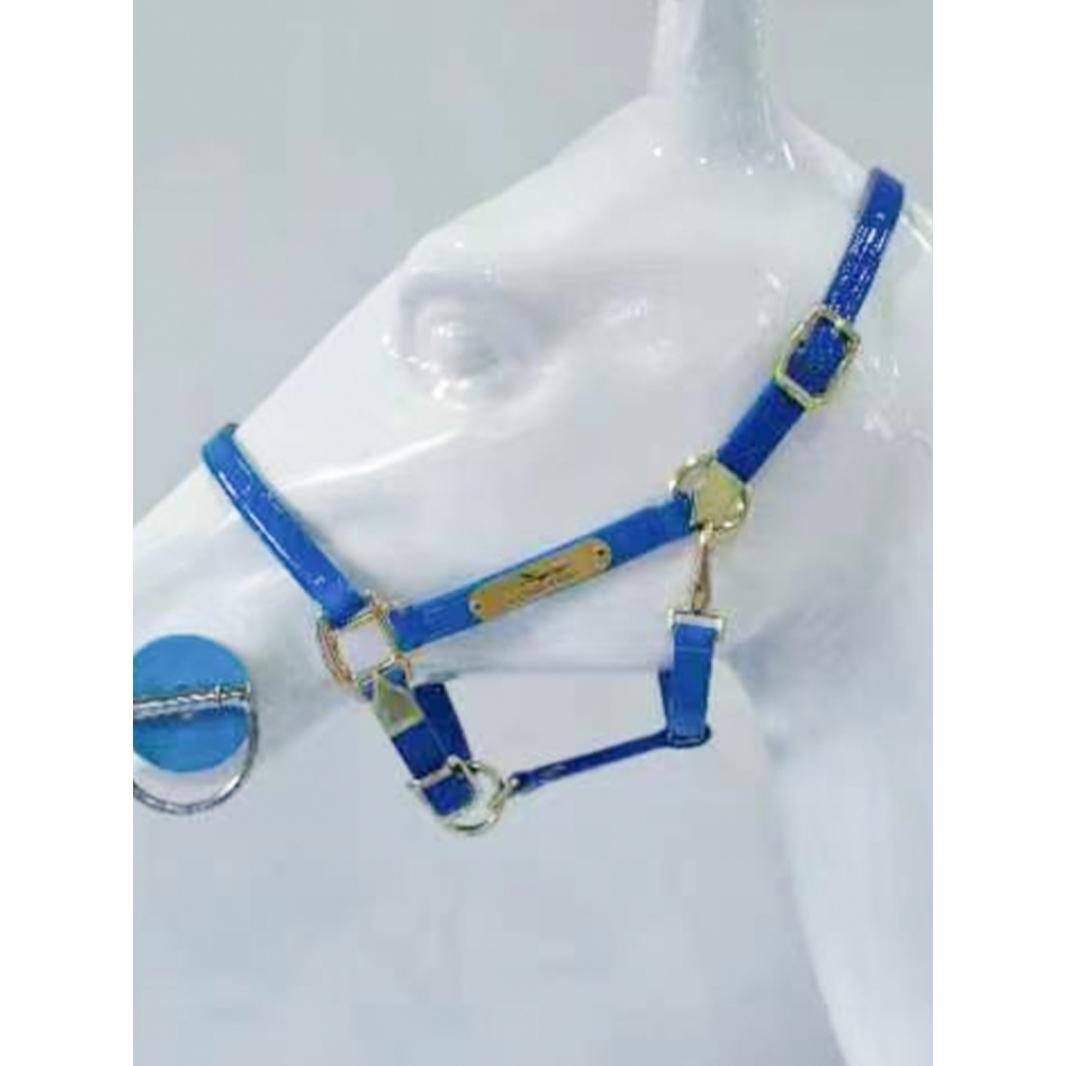 Patent leather shiny noodle dragon horses cage and horses, horses and horses can regulate the tadpole larvae horse horses horses horses horses horses horses horses horses horses horses horses horses horses horses horses horses horses horsepower accessorie