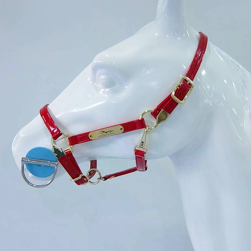 RED CAGE L FOR SHOULDER HEIGHTS BELOW 130-160CM