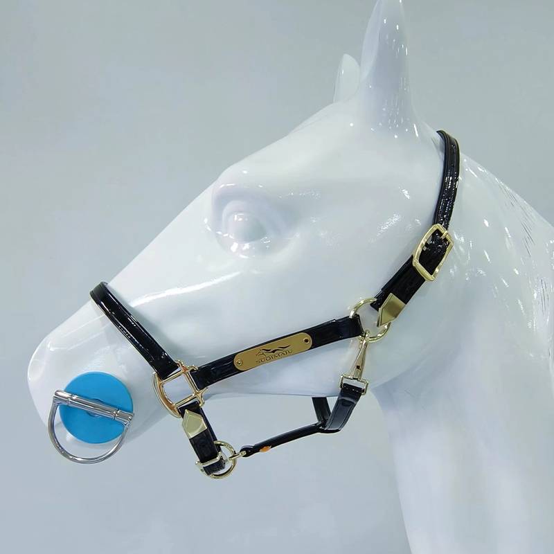 BLACK CAGE M FOR SHOULDER HEIGHTS BELOW 110-130CM