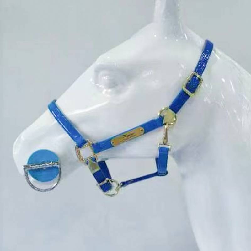 BLUE CAGE HEAD M FOR SHOULDER HEIGHTS BELOW 110-130CM