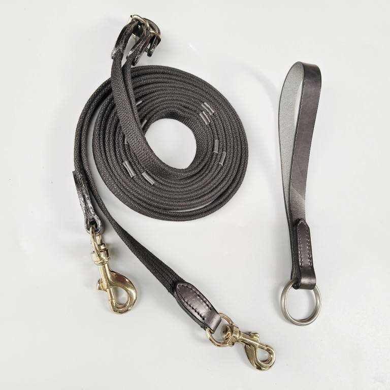 Pony-to-pony training for horse-to-pony trainer (Bronze Hook) specialty mail