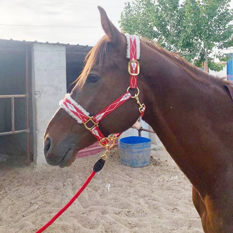 The new Shuile reins tactical horse chewing full set of supplies horse horses large and small horses cage beeper supplies