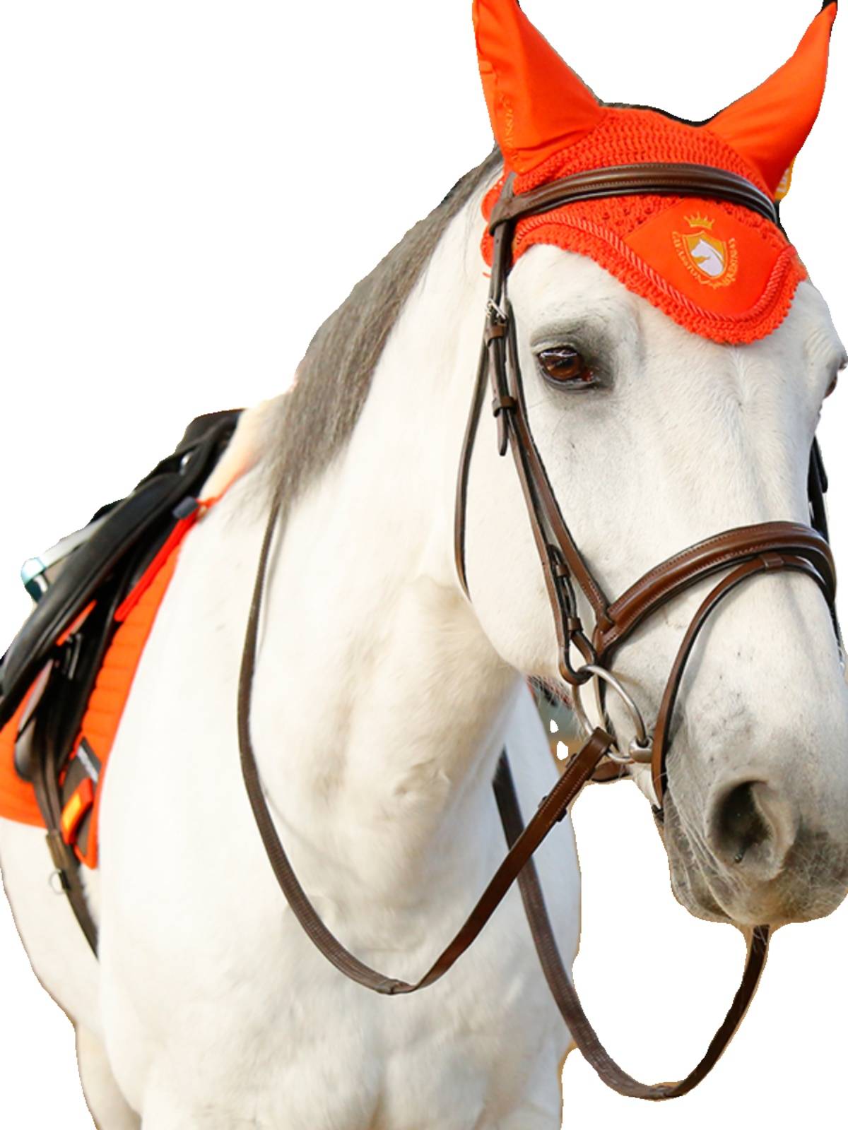 Shuile renders Shuile Cuispy Rasal Ride Raphal Rock Horse 8218103