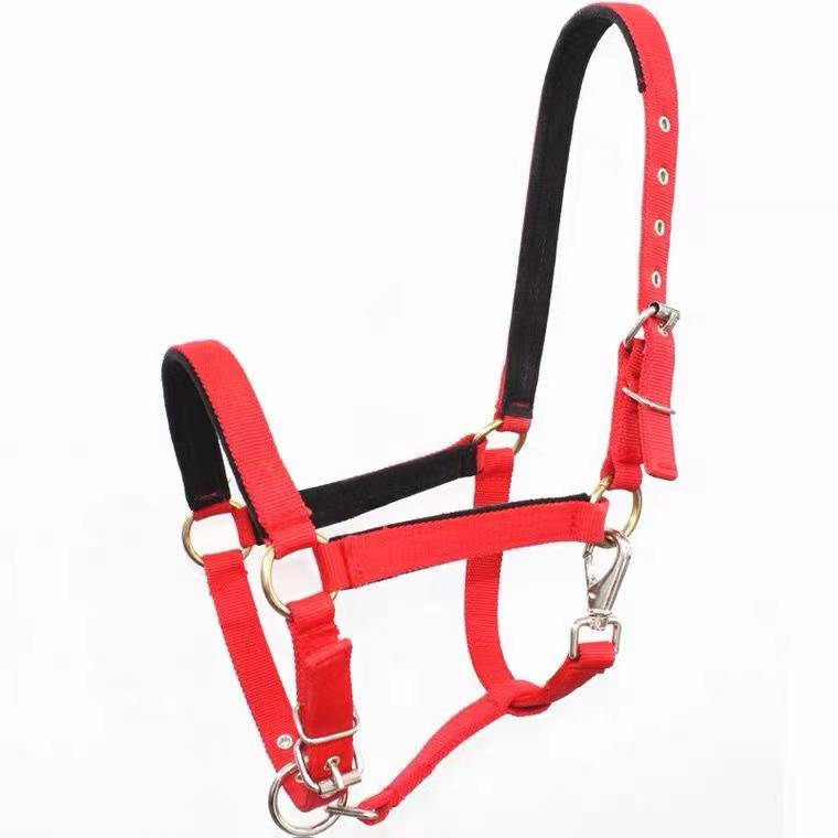 Junjie Horse Horse Equestrian Pattropical Together Cage Horse Horse Horse Horse Taming tool Donkey Muchi Horse Horse Cage