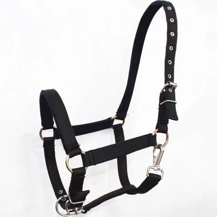 Junjie Horse Horse Equestrian Pattropical Together Cage Horse Horse Horse Horse Taming tool Donkey Muchi Horse Horse Cage