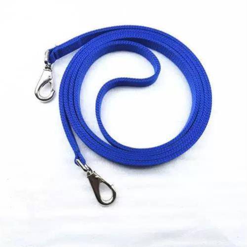 The whole panel of the horse's horse's horse's gear is tied to the horse's rope and the horse's water-squeeze
