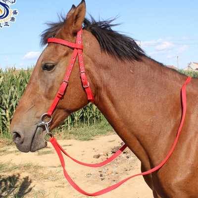 Shuile's reins, iron horses chewing full -scale equestrian supplies horse horses, water pupae