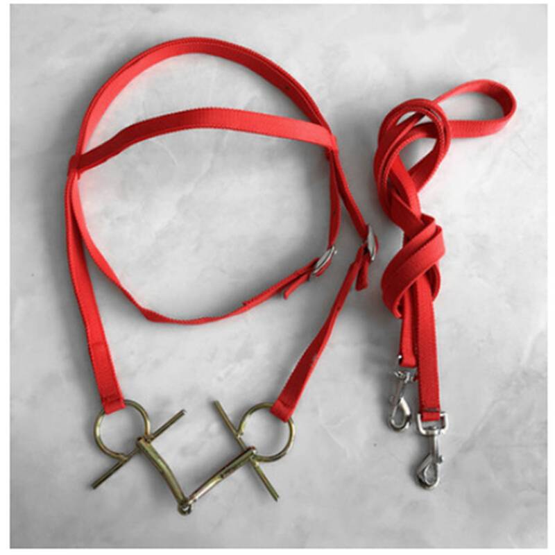 New product titer iron riding horsesho -headed water -hop reins faucet manufacturers direct selling horseshotou horses chewzi mouth full set