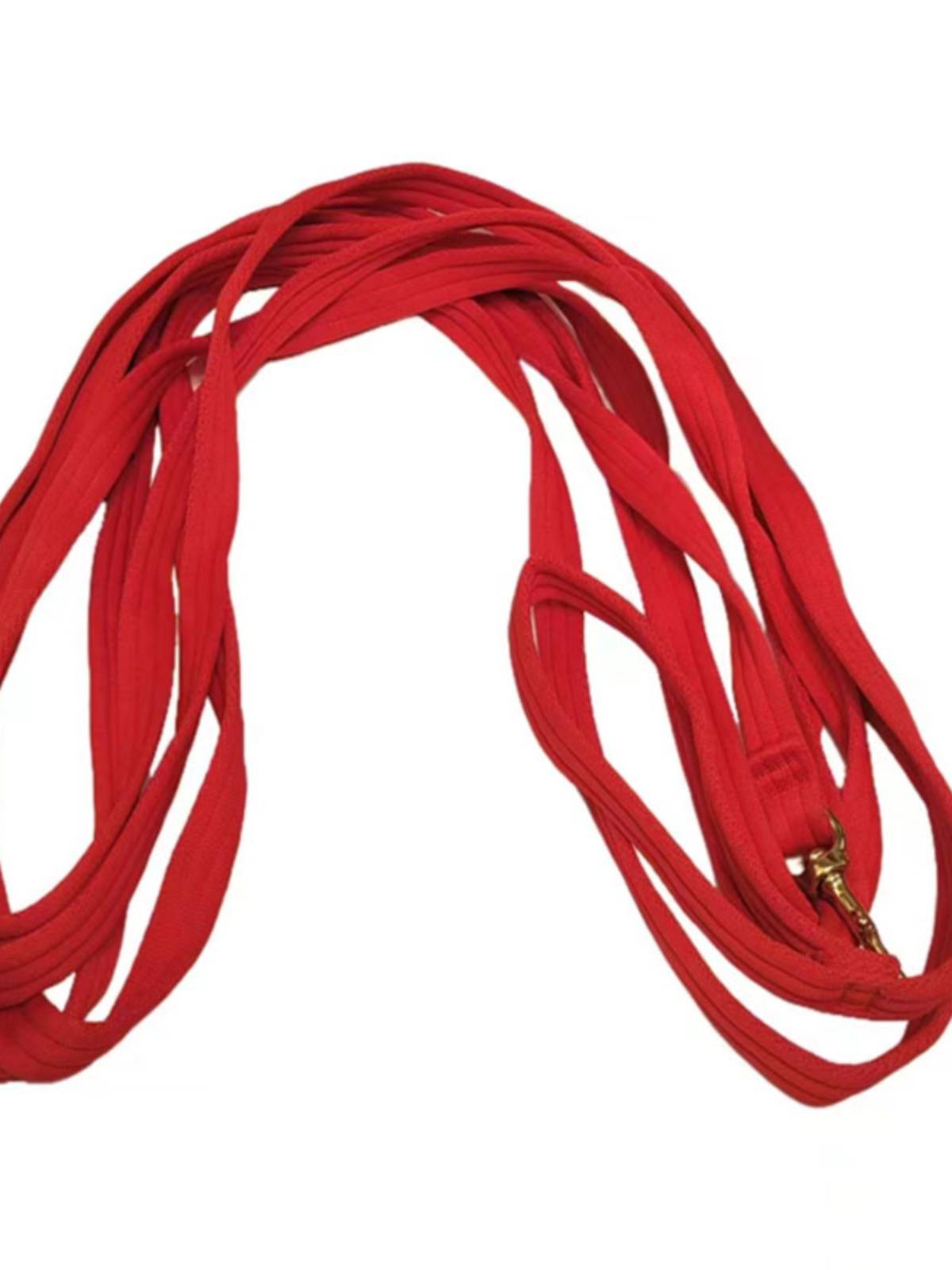 Horses teach horse ropes and horses to stride and train