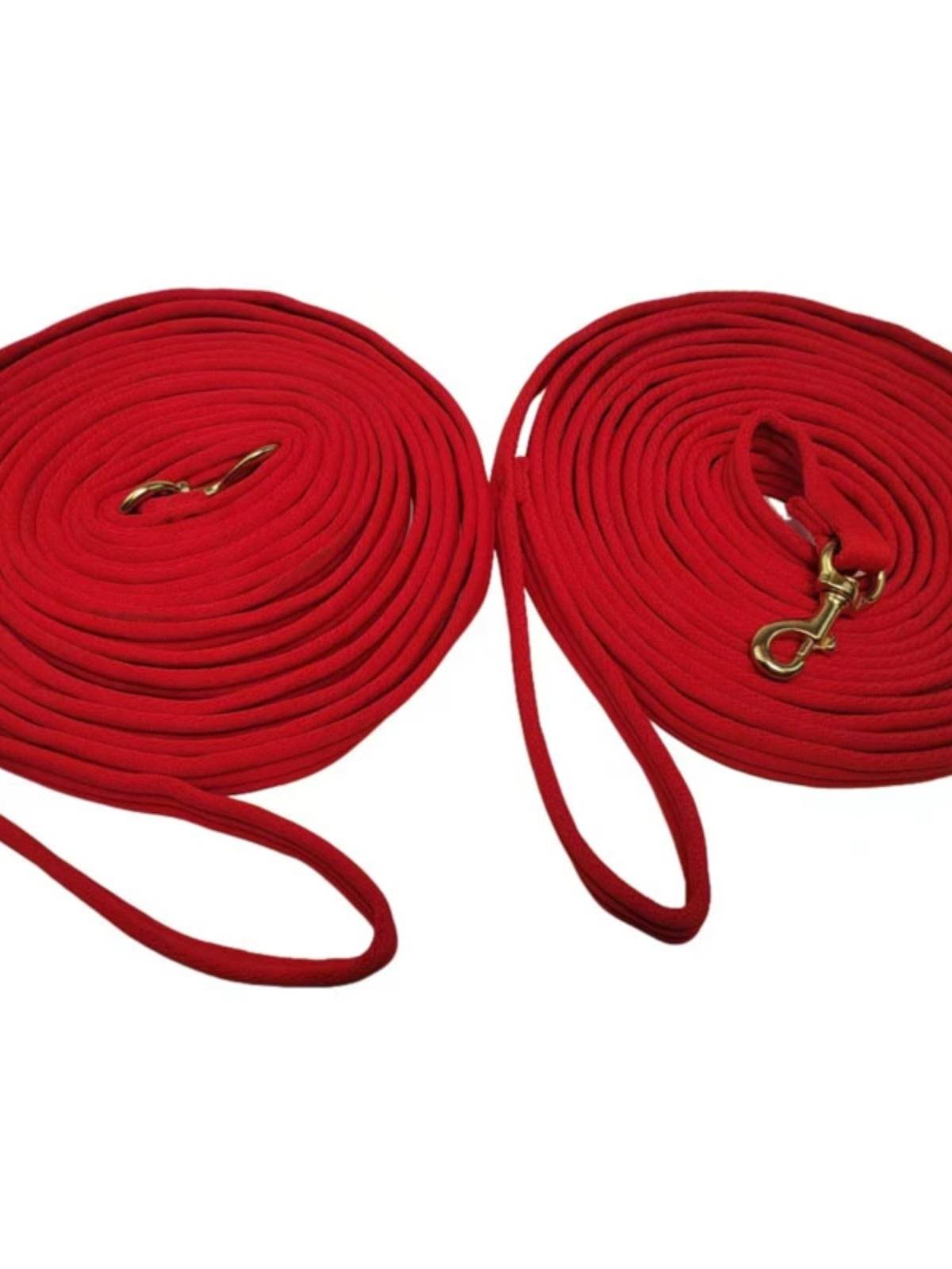 Horses teach horse ropes and horses to stride and train