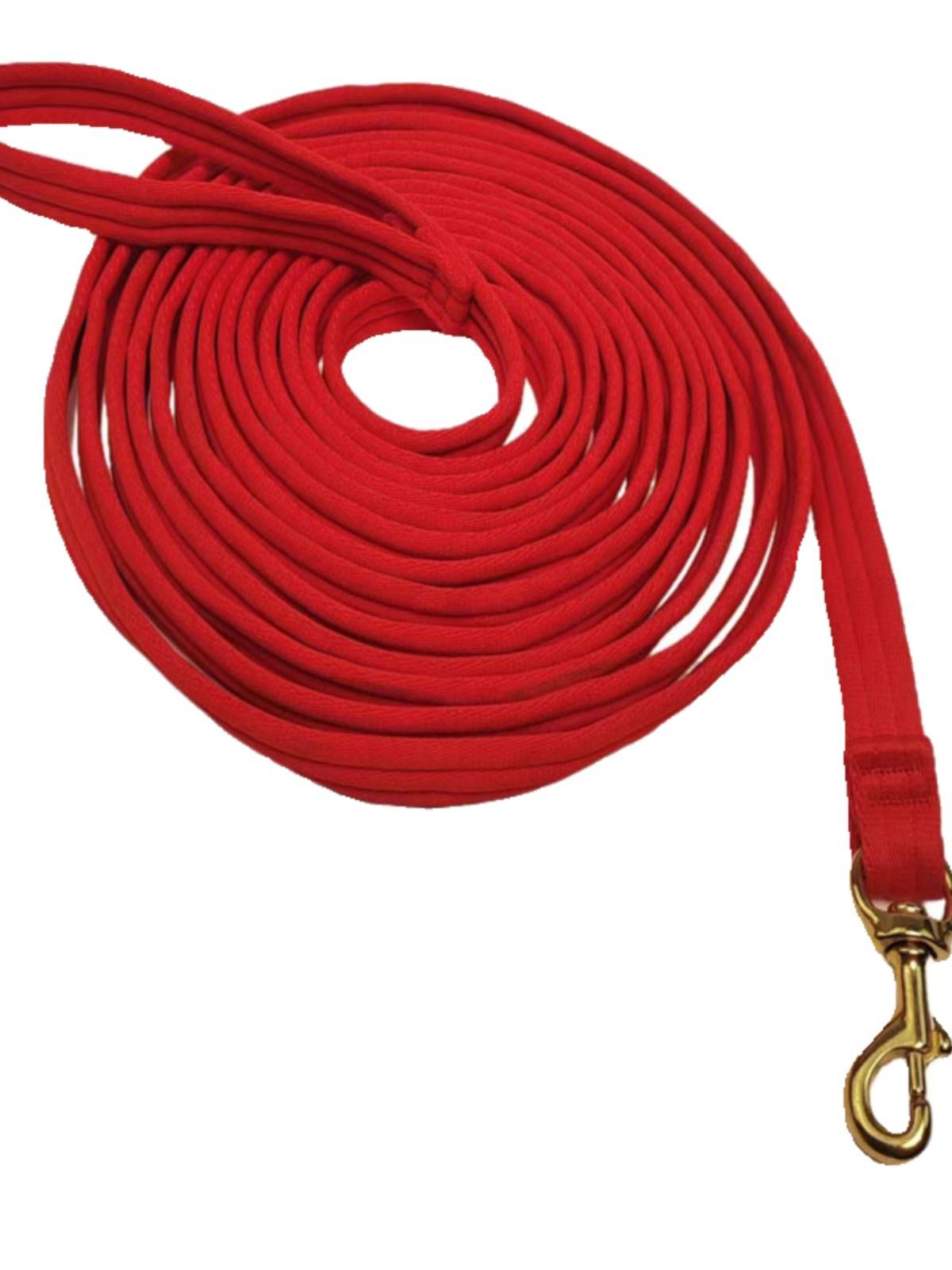 Horses teach horse ropes and horses to stride and train
