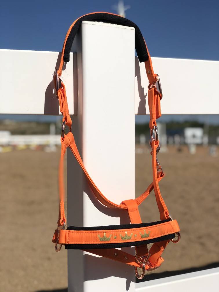 ORANGE L