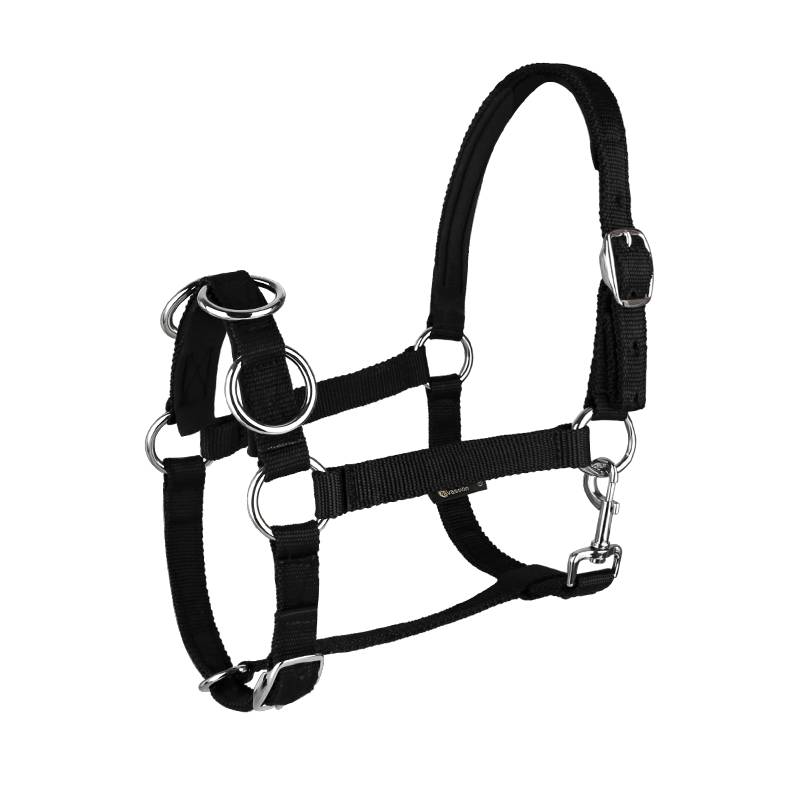 CavaSSION tuning cage head black red horses training Rocky horse horses 8218008