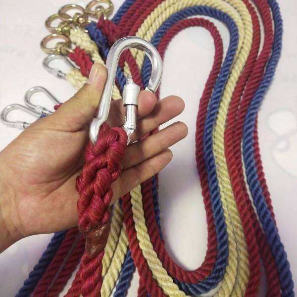 One of the sequestered cattle ropes