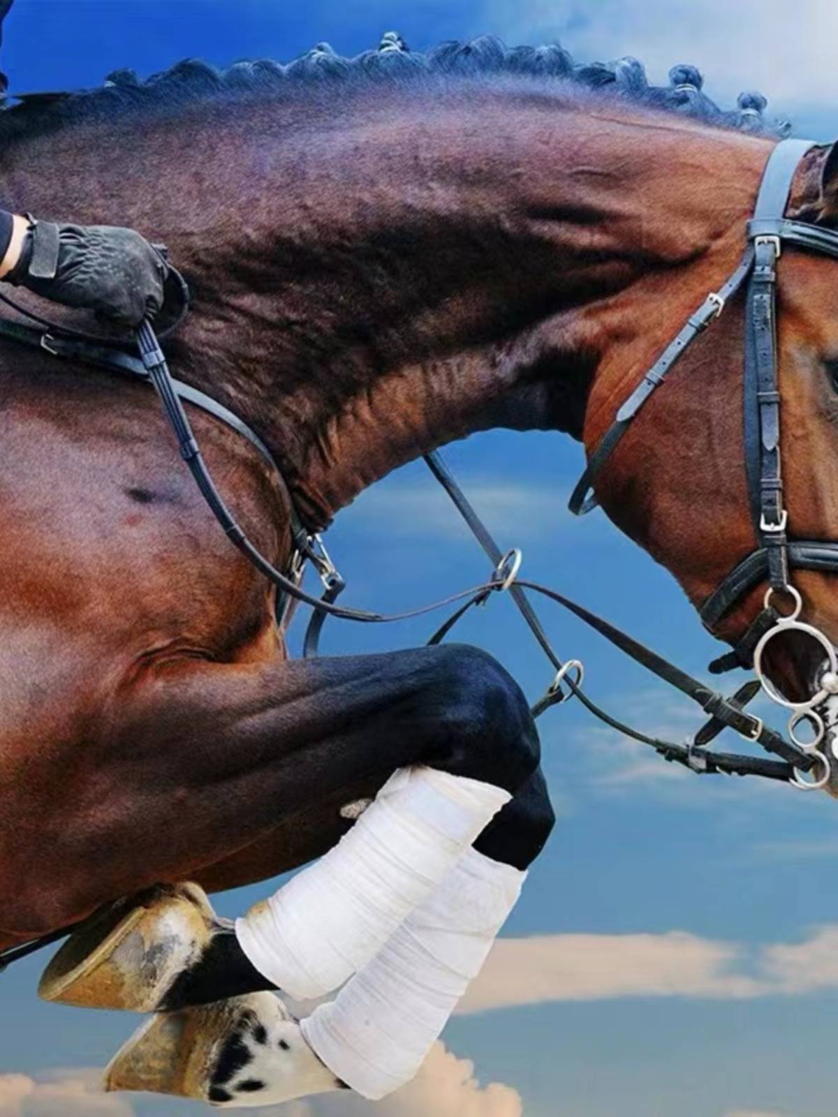 Cowhide reins, British equestrian horsema products accessories, full set of horse cage saddles, saddle accessories