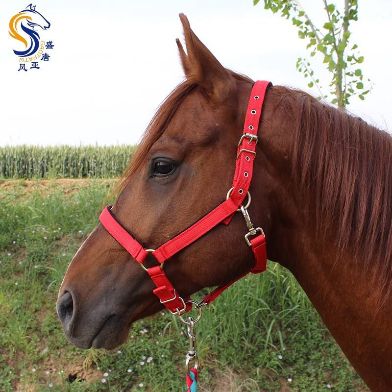 Horses rope rein horses equipped with horse cage head rope essential ride riding products size horse horses horses -type