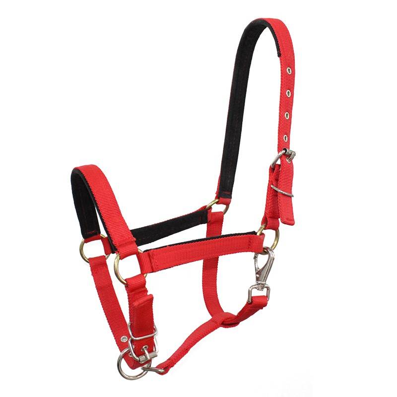 Horses rope rein horses equipped with horse cage head rope essential ride riding products size horse horses horses -type