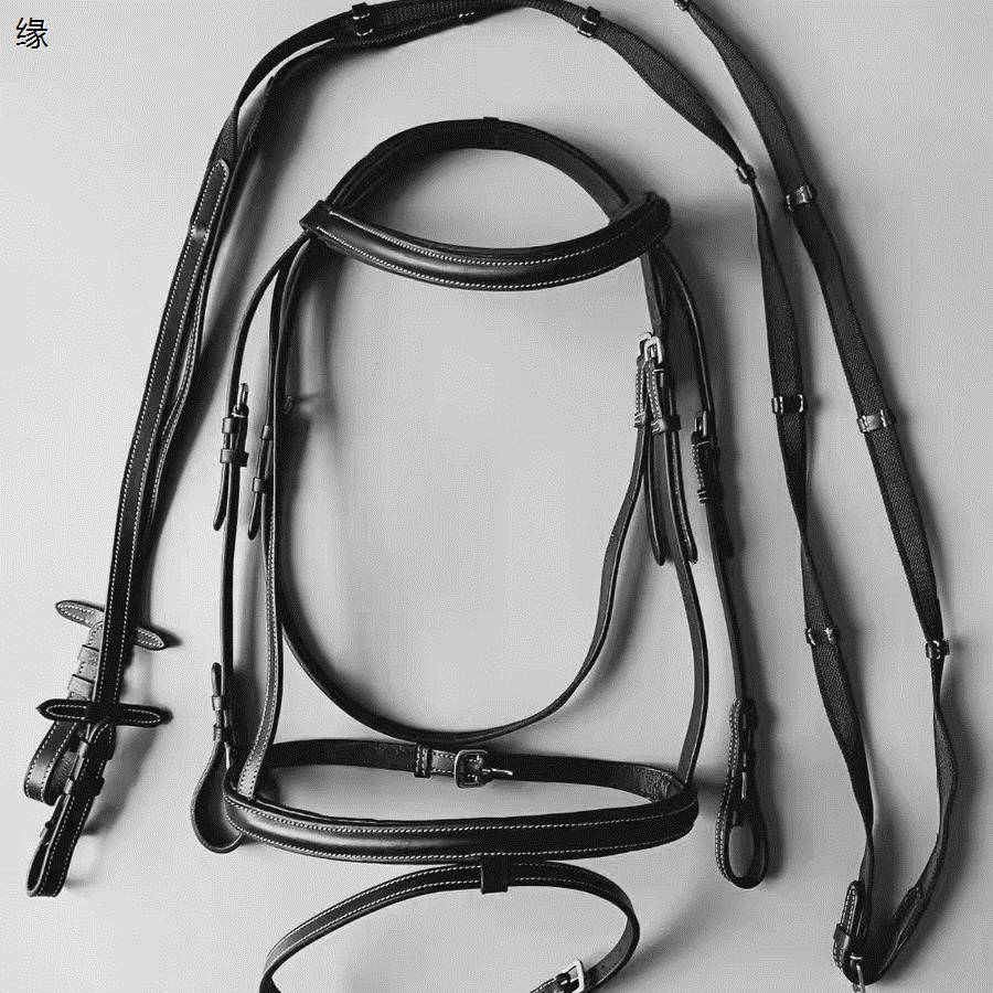 Shuile reins leather British Water Dile reins cage full set of horse riding cage head reins