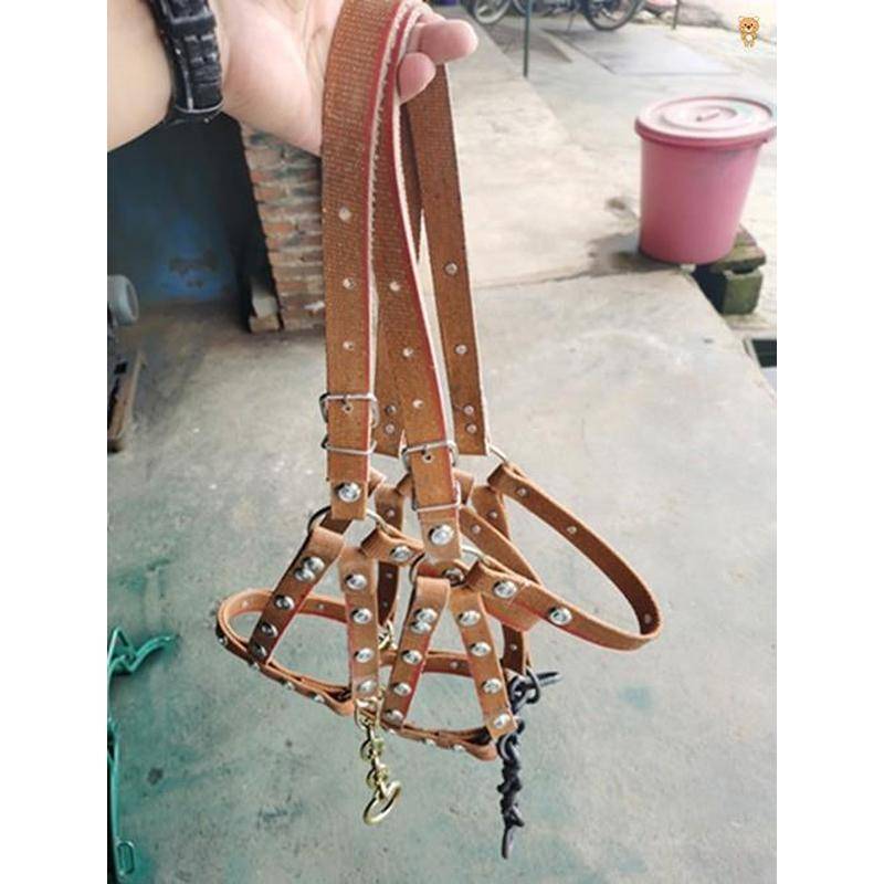 Selected donkey horses cage horse cage sets with chewing reins full set of horseshto horsettels, tuning horses