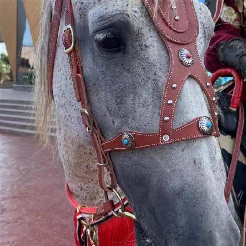 The horse's head is a oxen-skin-skin-skin-skin-skin-steal-steal-steal-steal-steal-steal-steal-steal-steal-steal-steal-steal-steal-steal-steal-steal