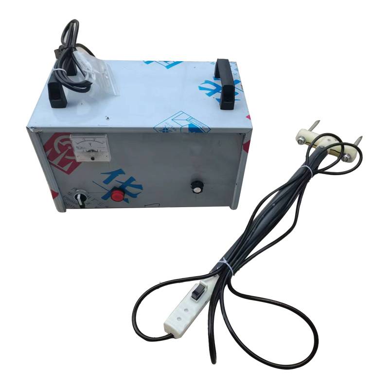 Type 1000 (magnete)