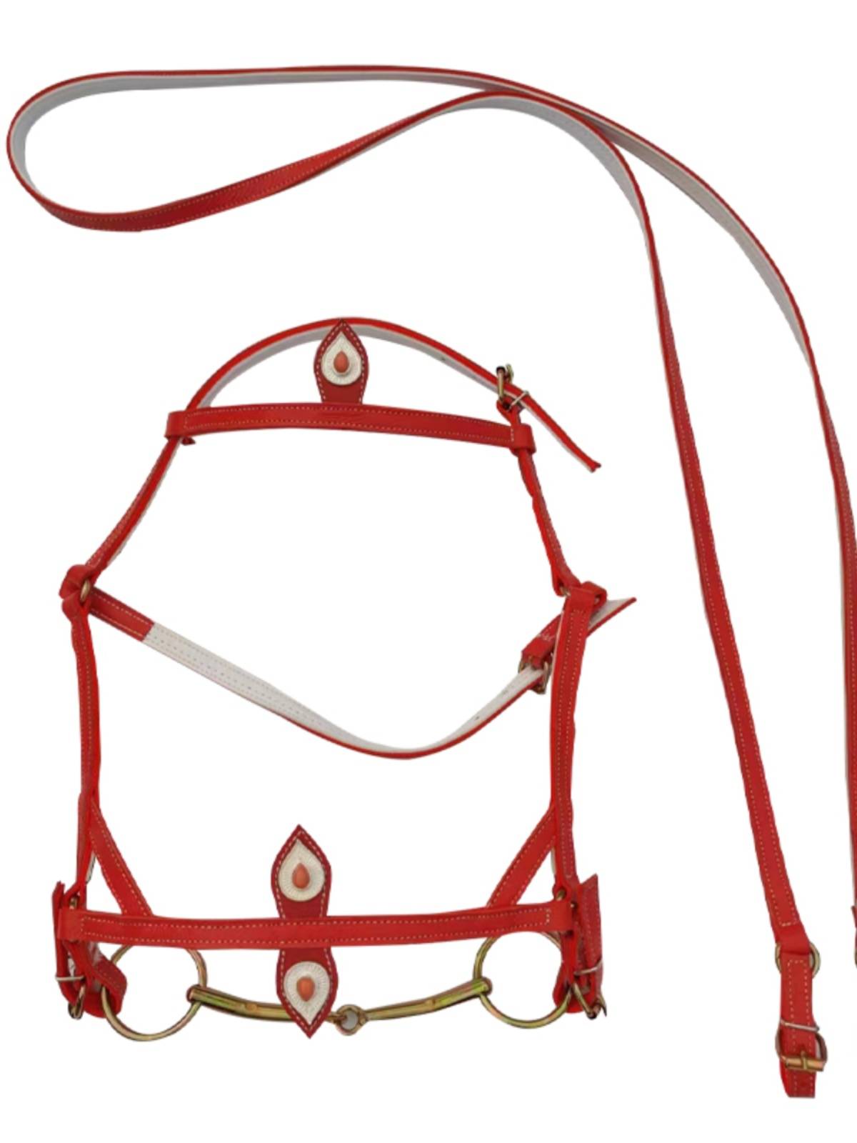 Scenic area horse cage -head reins rivet design horse tap Lailet Shuile horses horses tap, durable, beautiful, dwarf horse