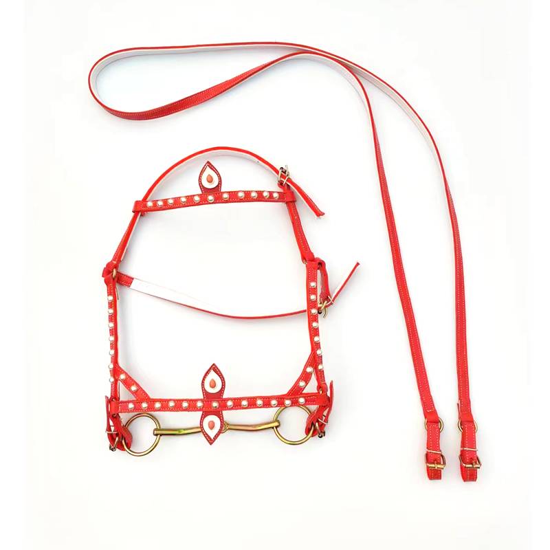 Horse head + rope