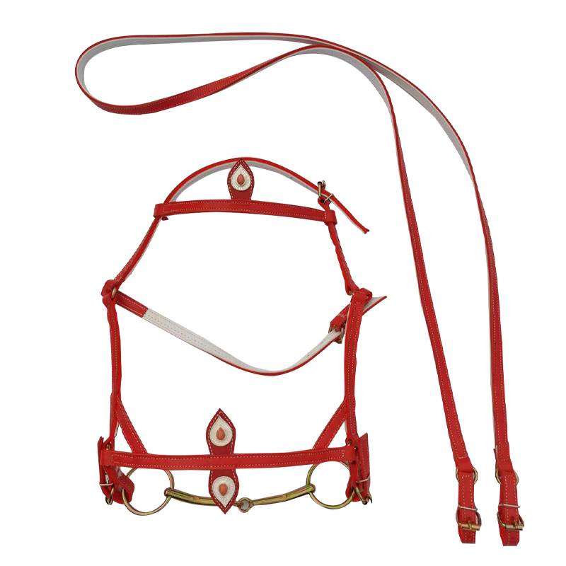 Horse head + rope (without nails)