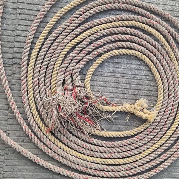 Beef and horse reins steel rope tie cattle for about 2 meters 7, long beef steel rope horses reins tie cattock tie tie horse rope universal