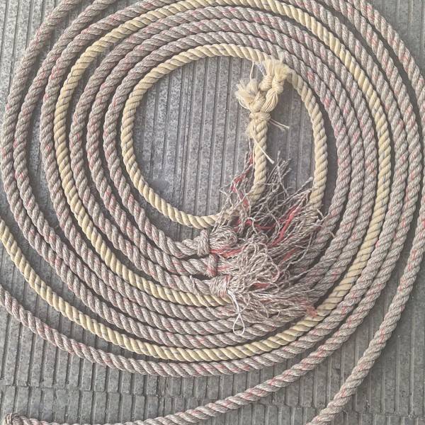 Single oxen steel ropes (without safety buttons and rings) 5