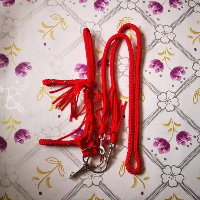 Red-coloured ropes for chewing on the head