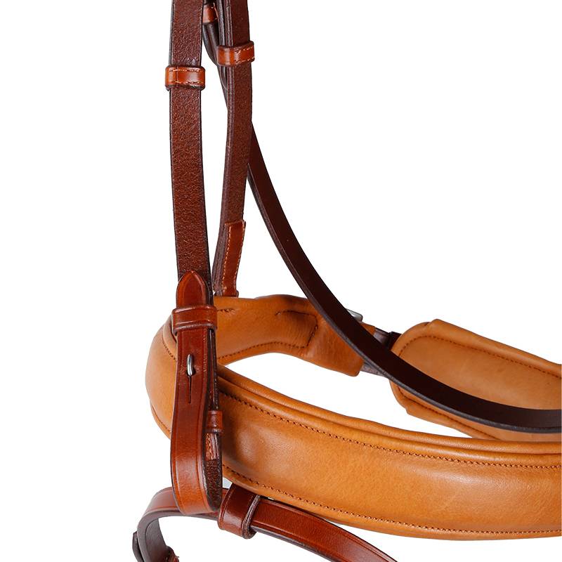 Italian ACAVALLO Crucs Water Lead, Ride Equestrian Riding Morning Rock Malaysia 8218044