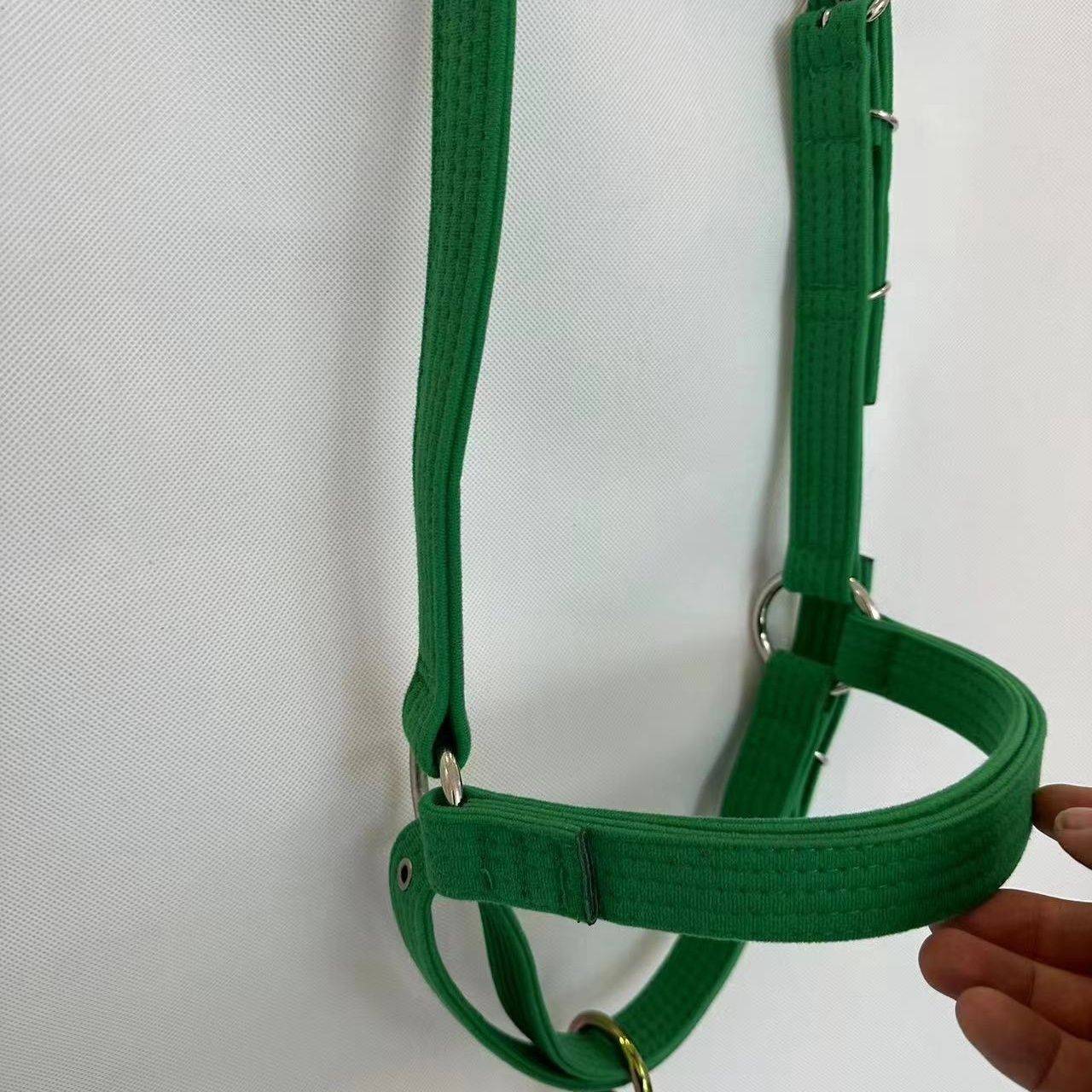 One in a big green ring