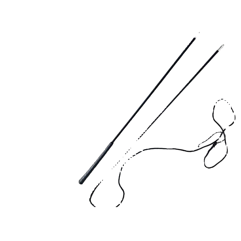 TRAINING OF WHIPS IN THE TRAINING OF LASHES IN THE USE OF NON-PONY LASHES LASHES, HORSE LASHES, TNS LASHES 01