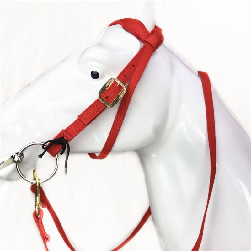 A new saddle, a colored, small, short-sized horse, tweaked rope, a full set of horse-cage-heads