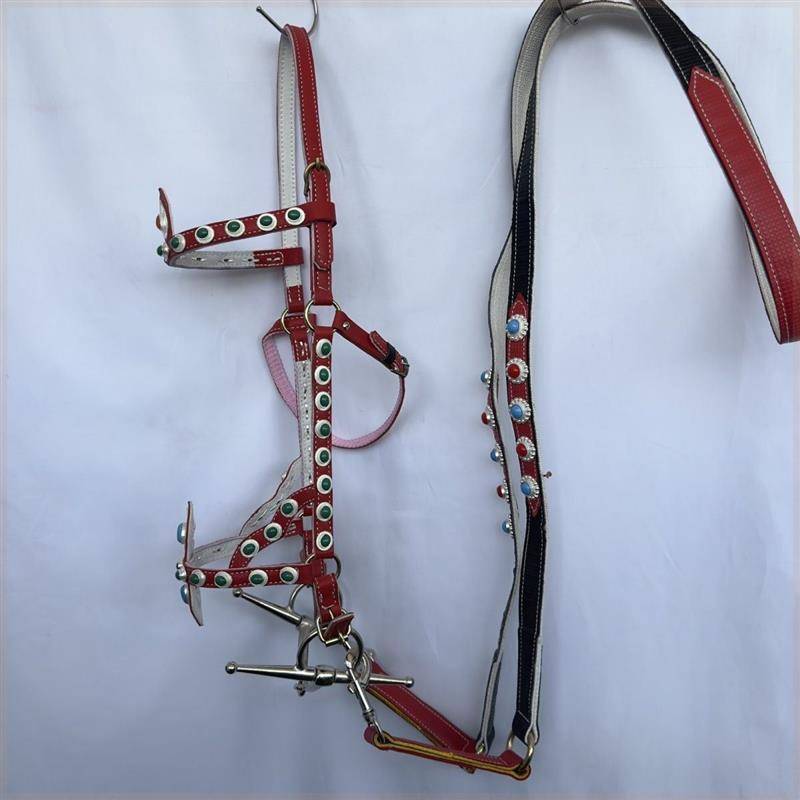 2024 new product walking horse forks Shuile Tibetan national horses horses, horses chewing Zitou Tibetan traditional supplies