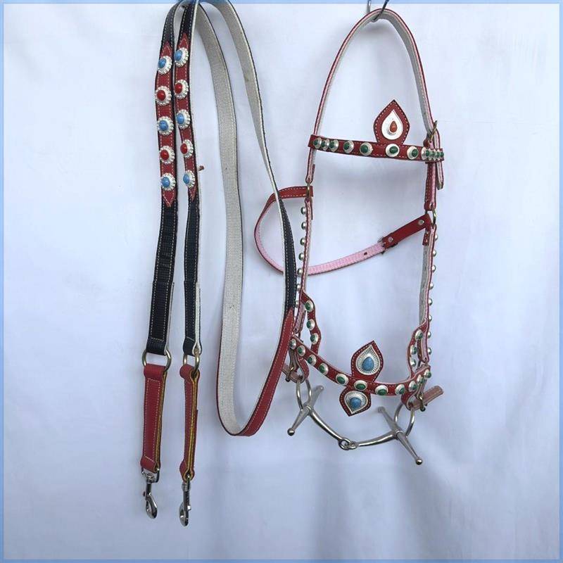 2024 new product walking horse forks Shuile Tibetan national horses horses, horses chewing Zitou Tibetan traditional supplies