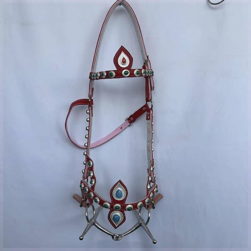 2024 new product walking horse forks Shuile Tibetan national horses horses, horses chewing Zitou Tibetan traditional supplies