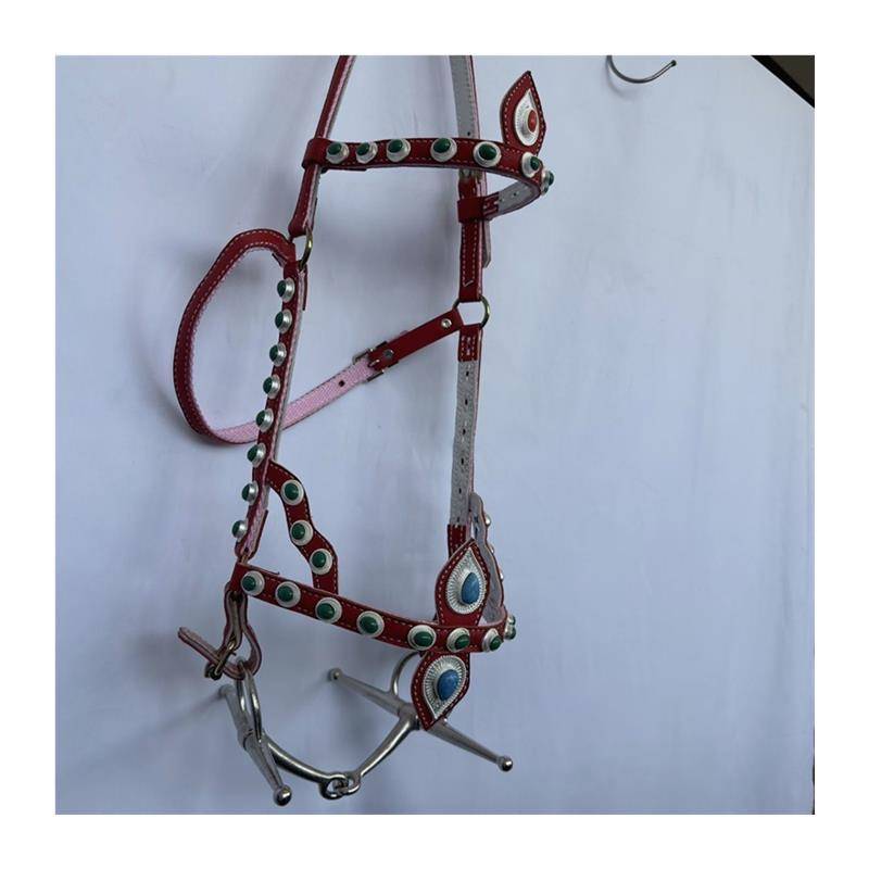 2024 new product walking horse forks Shuile Tibetan national horses horses, horses chewing Zitou Tibetan traditional supplies