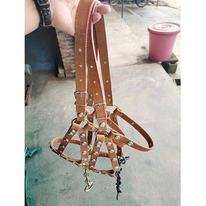 Horses with a tweezer and a tweezer with a tweed
