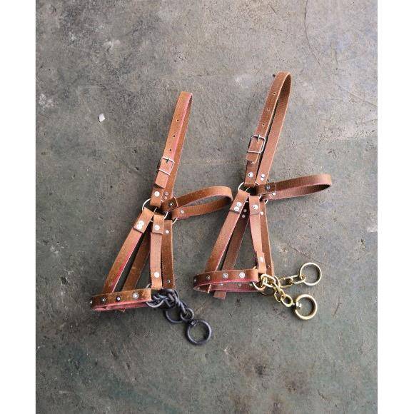Horses with a tweezer and a tweezer with a tweed